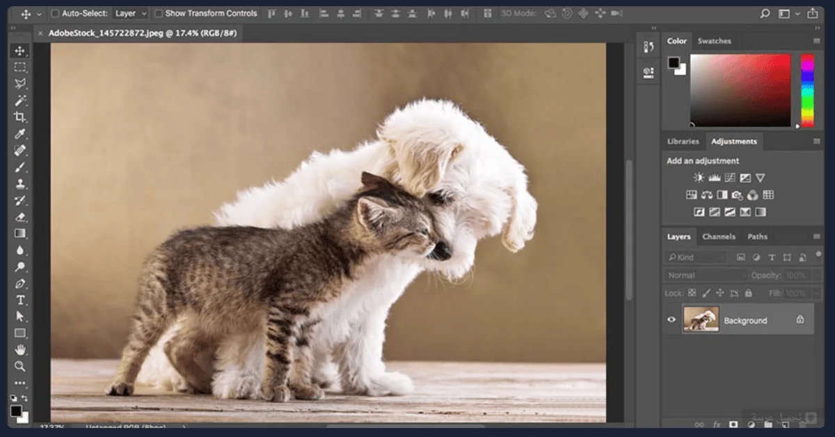 تحميل Photoshop للكمبيوتر